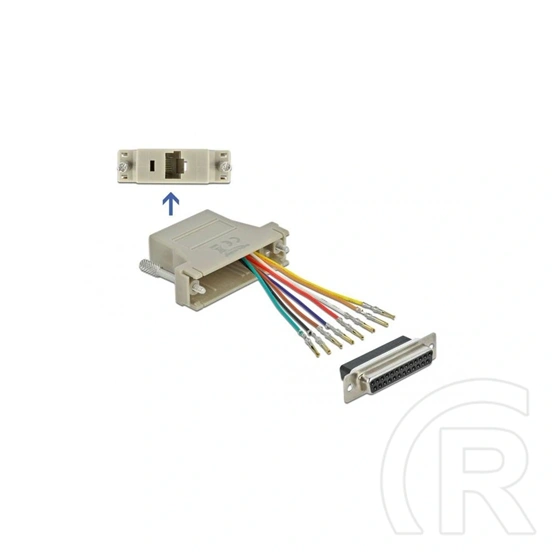 Delock adapter (D-Sub 25 pin - RJ45, F/F, szürke)