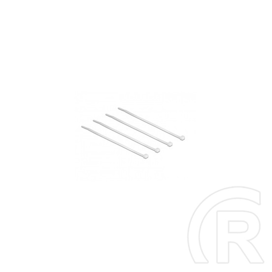 Delock kábelkötöző 100 db (100x2,5mm, áttetsző)