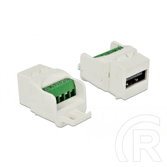 Delock keystone modul USB 2.0 A anya (sorkapocs, fehér,)