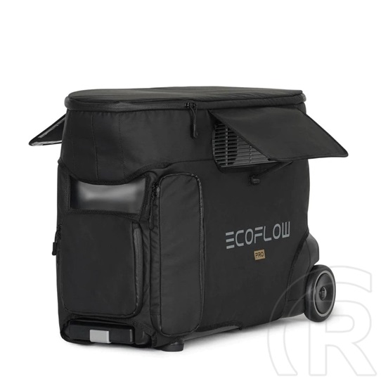 ECOFLOW DELTA PRO BAG