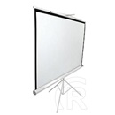 EliteScreen mobil háromlábú vászon Tripod 119"(1:1) T119NWS1 (Fehér, 213,4x213,4cm, MaxWhite, 1.1)