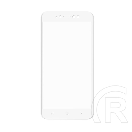 Enkay Xiaomi Redmi Note 5A képernyővédő üvegfólia (fehér)
