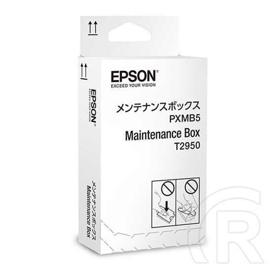 Epson T2950 maintenance box