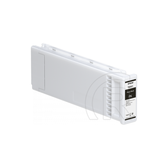 Epson patron T800100 (fekete)