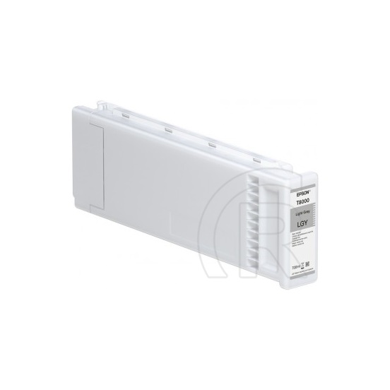Epson patron T800900 (szürke)