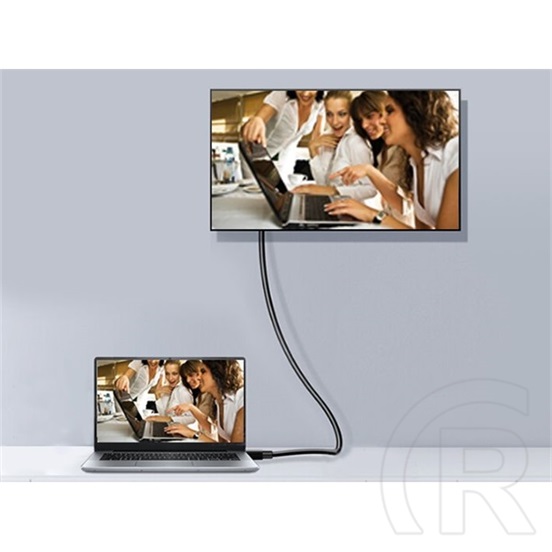 Equip DisplayPort (M) - Displayport (M) Premium kábel (1.4, 8K/60Hz, 3m, fekete)