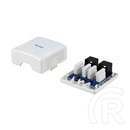Equip RJ45 fali aljzat 2x CAT5E fehér
