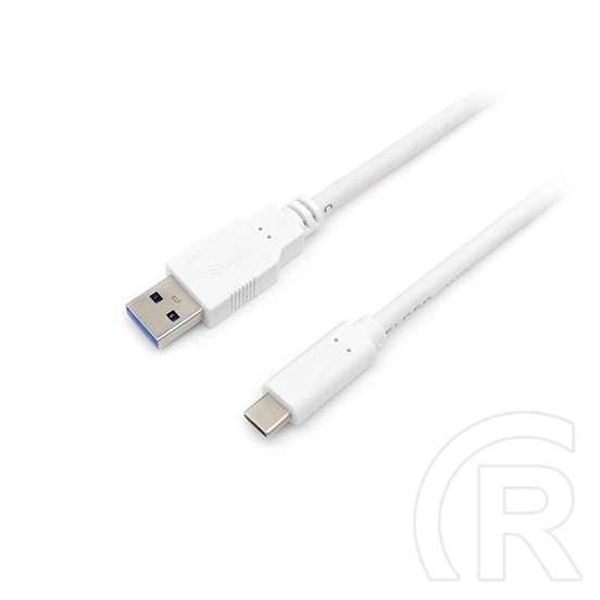 Equip USB 3.2 kábel (A dugó / Type-C dugó, 2 m)