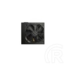 FSP Hexa+ Pro 550W 80+