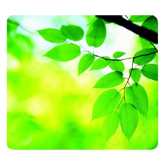 Fellowes 59038 Earth Series egérpad (levelek)