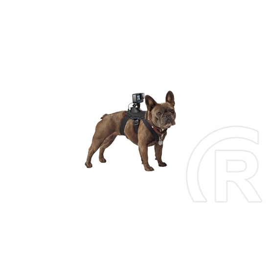 Fetch Dog Harness