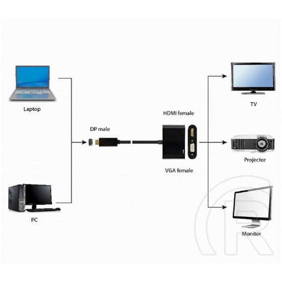 Gembird DisplayPort (M) - HDMI (F) - VGA (F) adapter (10 cm)