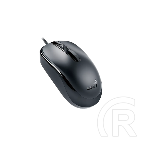 Genius DX-120 egér (fekete) Type-C
