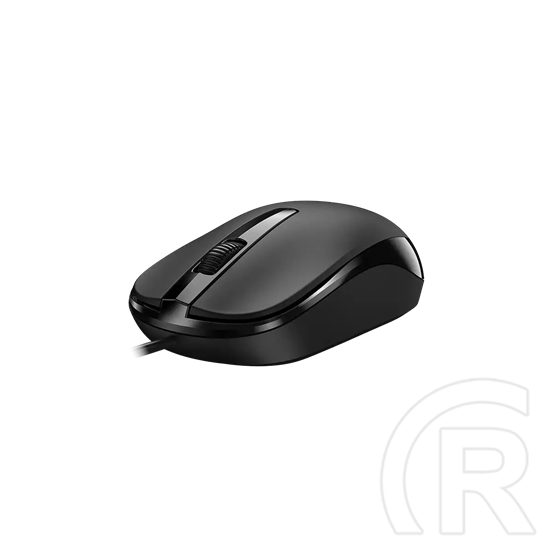 Genius DX-120 egér (fekete) Type-C