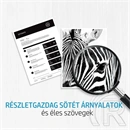 HP 219X toner (fekete)