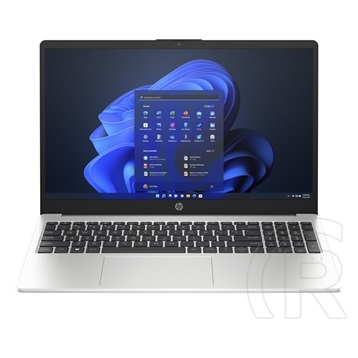 HP 255 G10 notebook (15,6