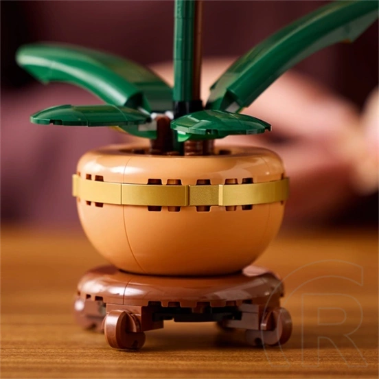 LEGO® Botanicals Mini orchidea, ajándék növény 10343