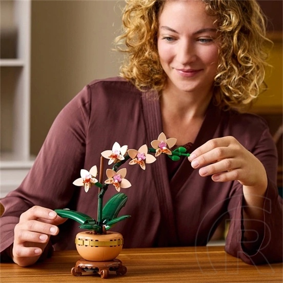 LEGO® Botanicals Mini orchidea, ajándék növény 10343