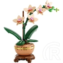 LEGO® Botanicals Mini orchidea, ajándék növény 10343