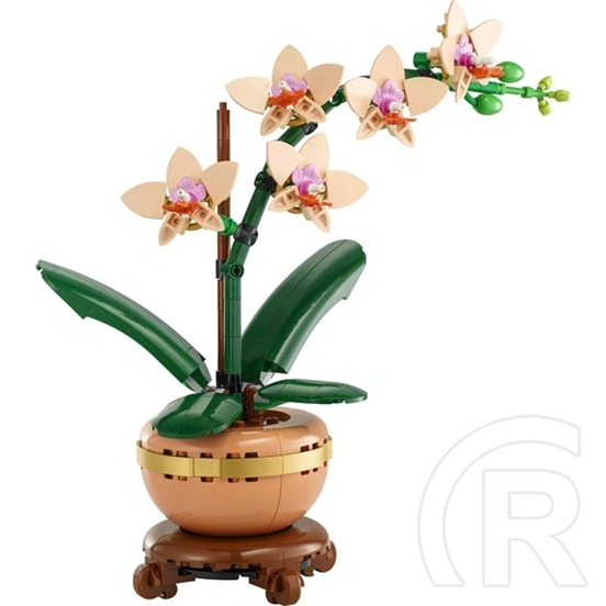 LEGO® Botanicals Mini orchidea, ajándék növény 10343