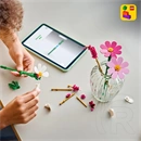LEGO® Botanicals Pillangóvirágok 11514