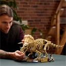 LEGO® Jurassic World Dinoszaurusz maradványok 77985