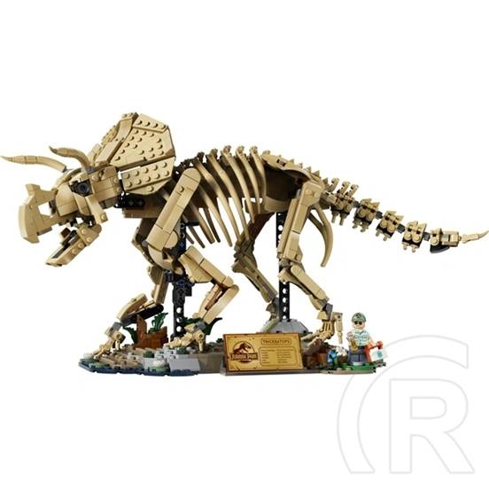 LEGO® Jurassic World Dinoszaurusz maradványok 77985