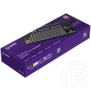 LORGAR Azar 514TKL mechanikus gamer billentyűzet (Dream Switches, USB, US, fekete)