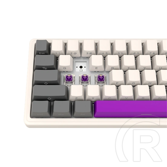 LORGAR KBP70MW vezeték nélküli 65%-os mechanikus gamer billentyűzet (Toxic Purple, USB/Bluetooth, US, bézs)