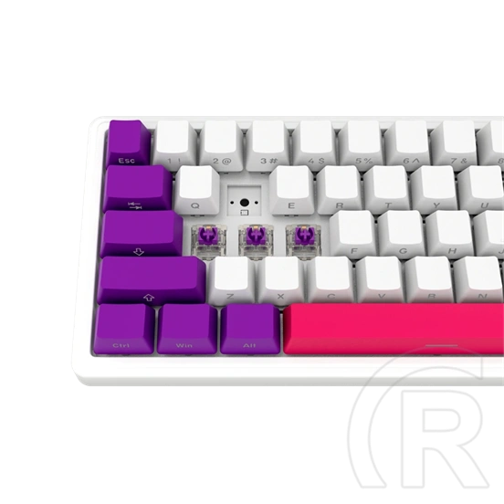 LORGAR KBP70MW vezeték nélküli 65%-os mechanikus gamer billentyűzet (Toxic Purple, USB/Bluetooth, US, fehér)