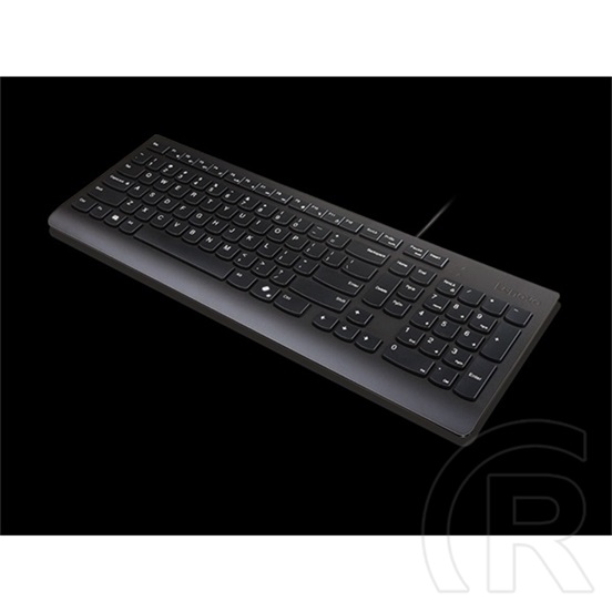 Lenovo Essential Wired billentyűzet (HU, vezetékes, USB-A, fekete)