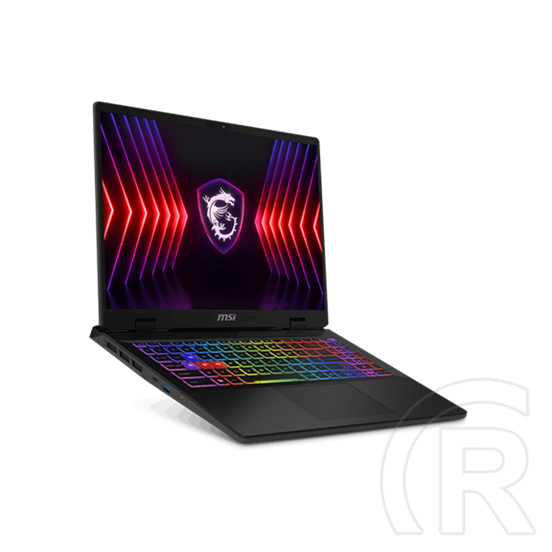 MSI Sword 16 HX B14VFKG-1028 (16" FHD+ 144Hz, Intel Core i7-14650HX, 16GB, 512GB, RTX 4060 8GB, cosmos gray)