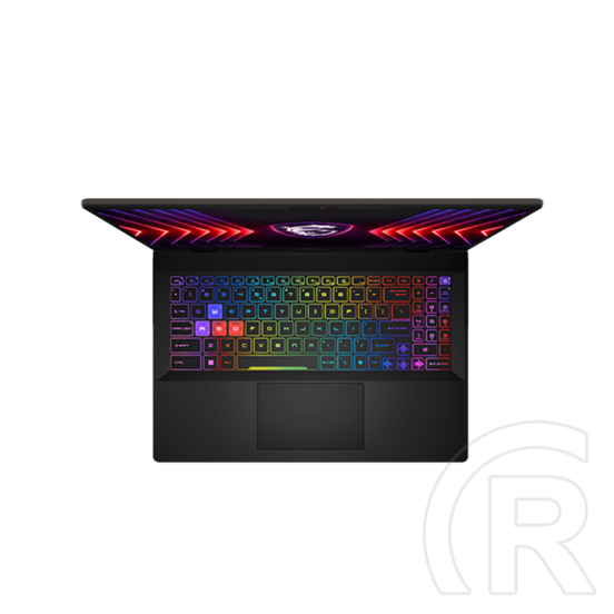 MSI Sword 16 HX B14VFKG-1028 (16" FHD+ 144Hz, Intel Core i7-14650HX, 16GB, 512GB, RTX 4060 8GB, cosmos gray)