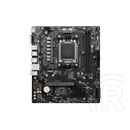 Msi PRO A620M-B (mATX, AM5)