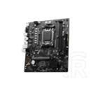 Msi PRO A620M-B (mATX, AM5)