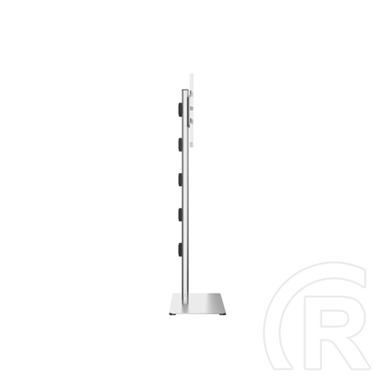 Multibrackets M Display Stand 180 padlóállvány (24-65", VESA 75x75-700x400 mm, max. terhelés 50 kg, ezüst)