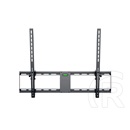 Multibrackets M Universal dönthető fali konzol (55-75", VESA 800x600, 75 kg, fekete)