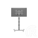 Multibrackets gurulós padlóállvány M Display Stand 180 Single (24-65", VESA 700x400, 50 kg, ezüst)