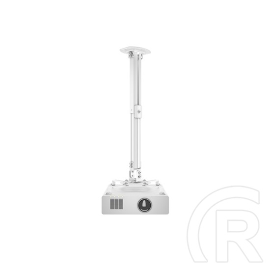 Multibrackets mennyezeti projektor konzol M Universal I (13,5 kg, 380-580 mm, fehér)