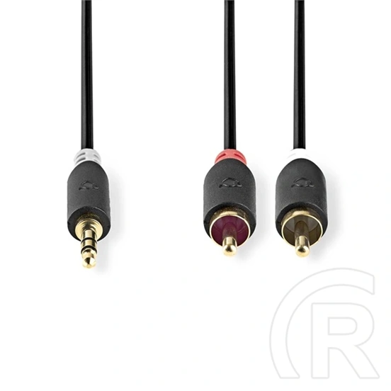 Nedis CABW22200AT100 sztereó audió kábel 3,5 mm sztereó jack - 2x RCA (10 m, aranyozott, antracit)
