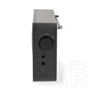 Nedis RDFM2225BK bluetooth hordozható FM rádió (v5.3, 1900mAh belső akku, max. 10 óra, 1 W, USB-C, 3,5 mm, fekete)