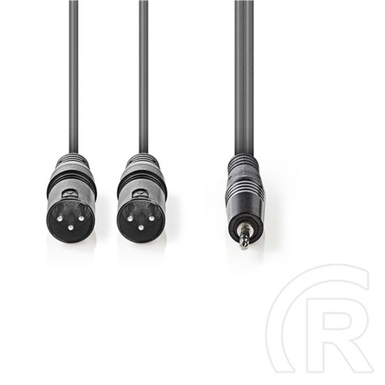 Nedis szimmetrikus XLR audio kábel (2x XLR 3 tűs apa / 3,5 mm jack, 3 m, sötétszürke)