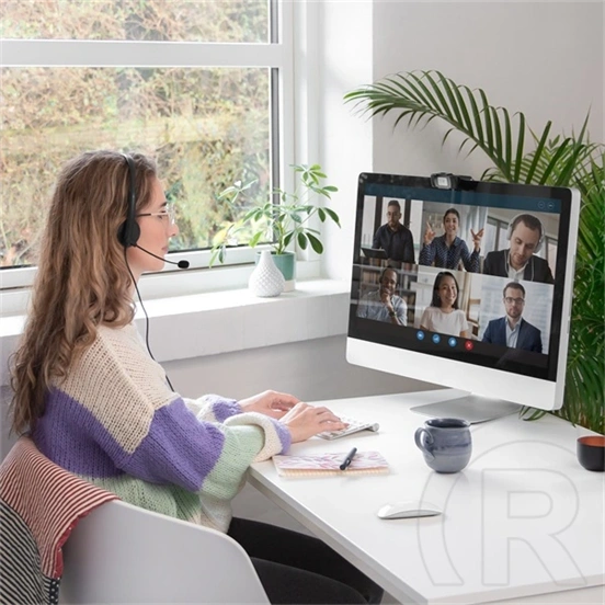 Sandberg USB headset sztereo (vezetékes, mikrofon, USB A csatlakozó, fekete)