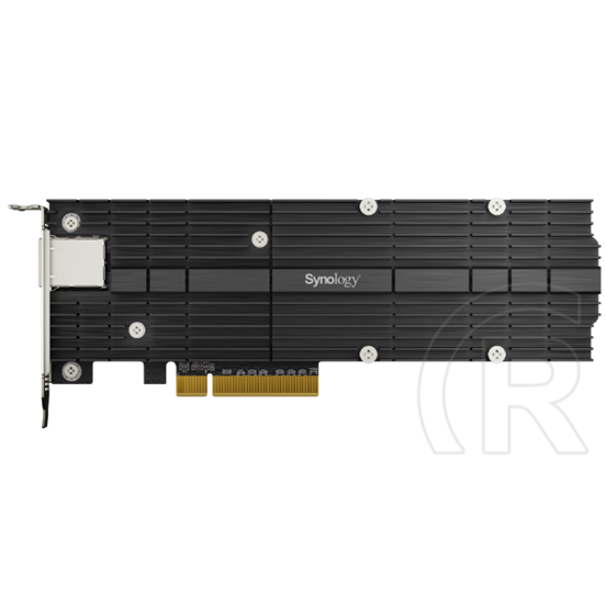 Synology E10M20-T1 Ethernet-adapter