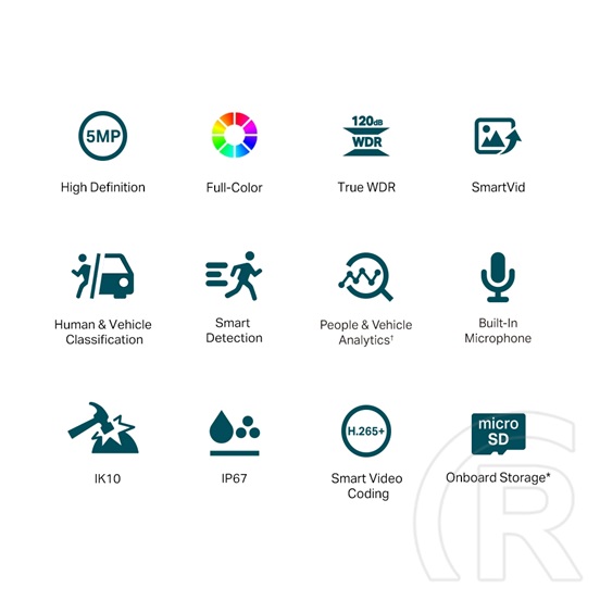 TP-Link IP dómkamera - C250 (DualLight, 5MP, 2,8mm, IK10, IP67, H265+, IR+LED30m, SD; 12VDC/PoE, mikrofon)