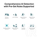 TP-Link IP dómkamera - C250 (DualLight, 5MP, 2,8mm, IK10, IP67, H265+, IR+LED30m, SD; 12VDC/PoE, mikrofon)
