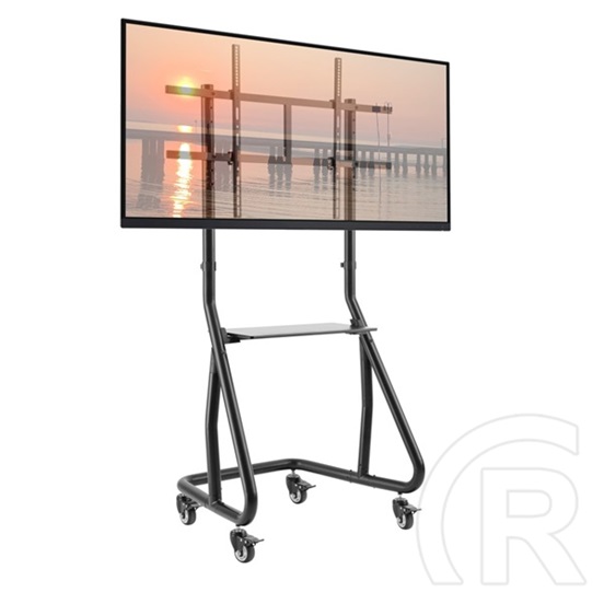 Techly ICA-TR38 gurulós padlóállvány TV-hez (60"-105", VESA 1000x600, max. 100 kg, fekete)