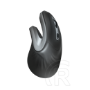 Trust Verro Ergonomic Wireless Mouse (USB)