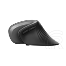 Trust Verro Ergonomic Wireless Mouse (USB)