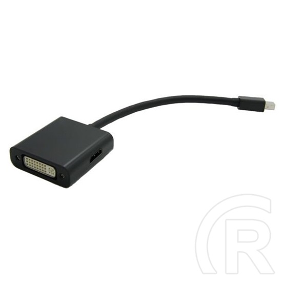 Value mini-DisplayPort > DisplayPort/DVI/HDMI v1.1 adapter